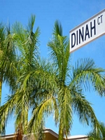 missing Dinah