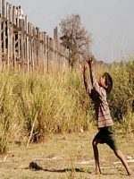 u bein bridge